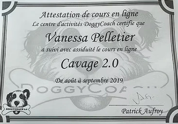 Badge Cavage 2.0