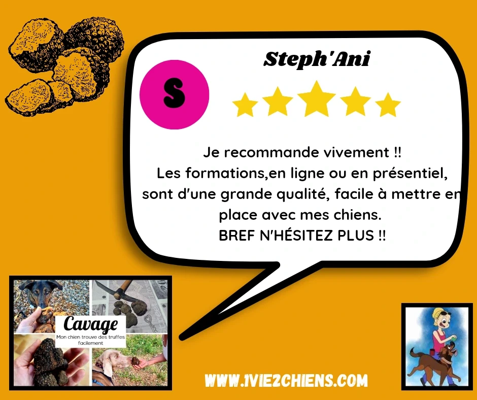 A particular review