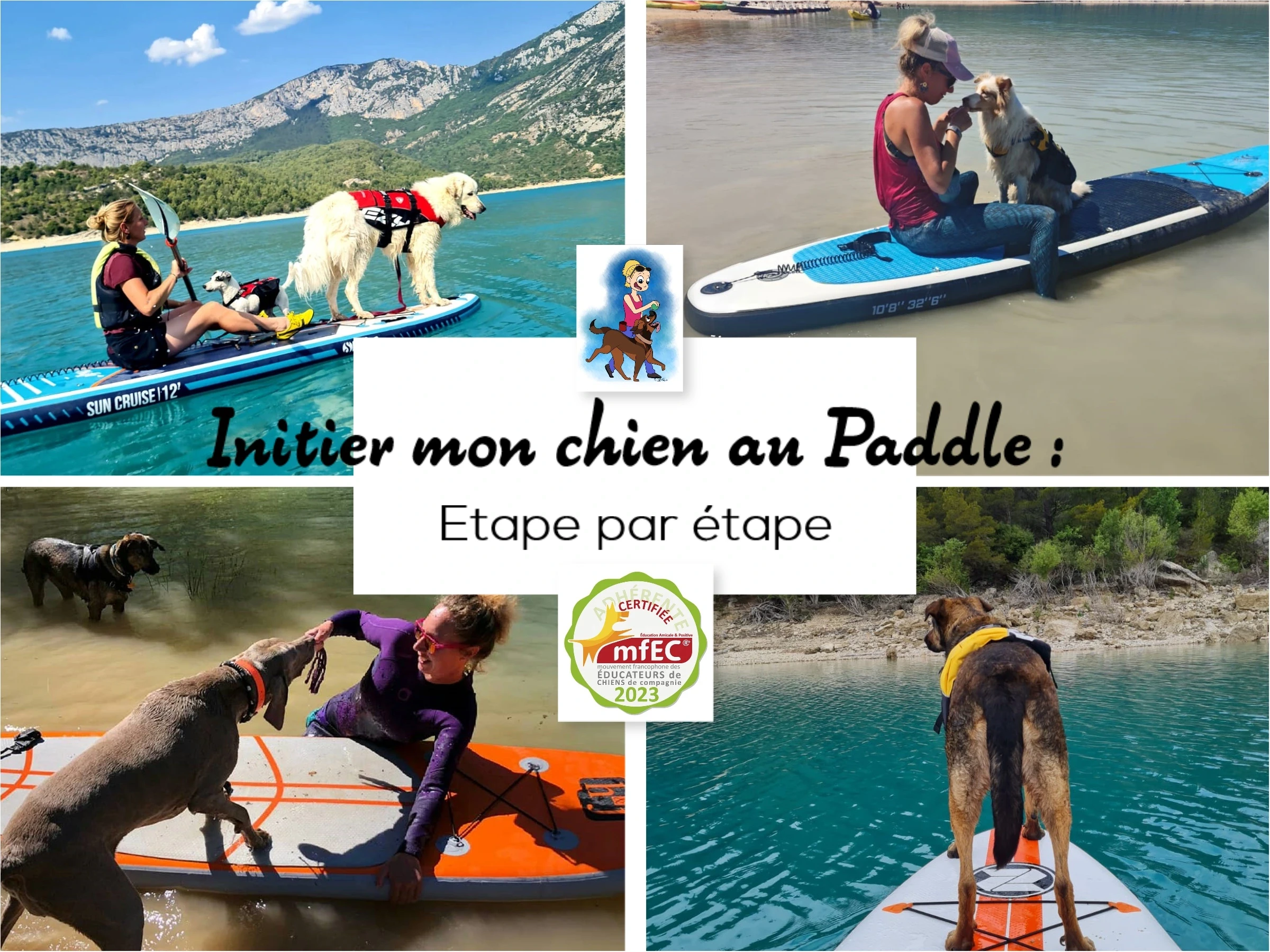 Paddle training poster from 1vie2chiens