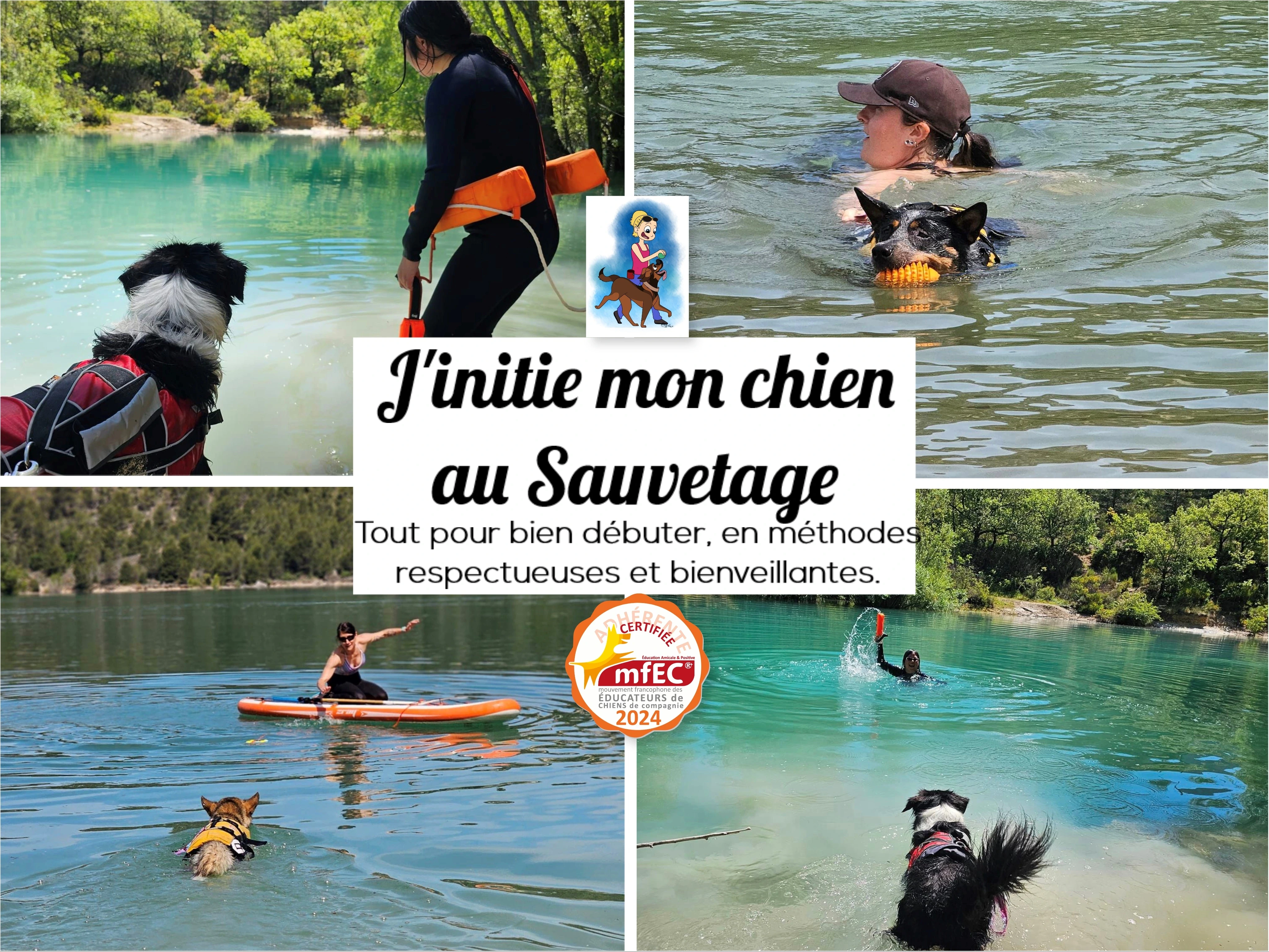 Rescue training poster from 1vie2chiens