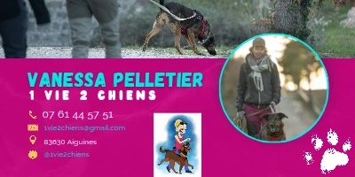 1life2dogs card