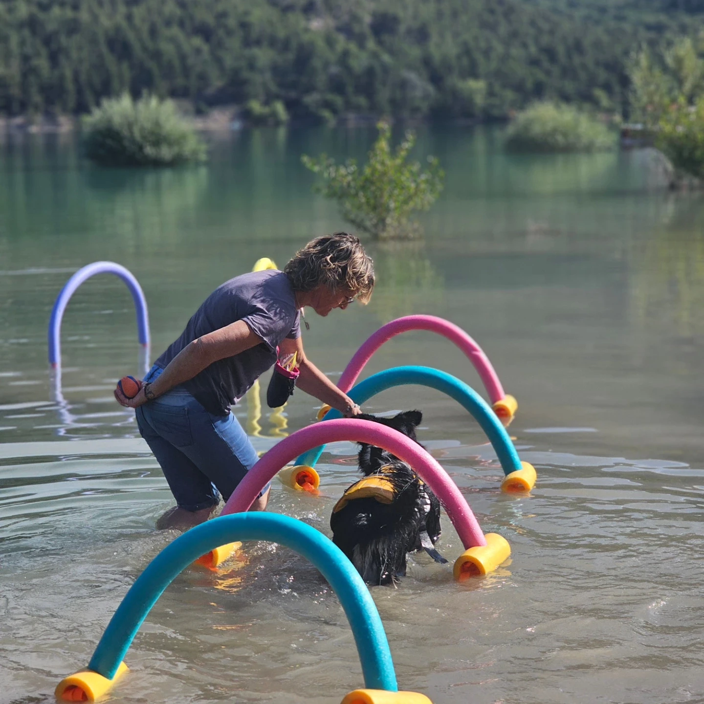 A student of Vanessa guiding her dog under hoops in the water