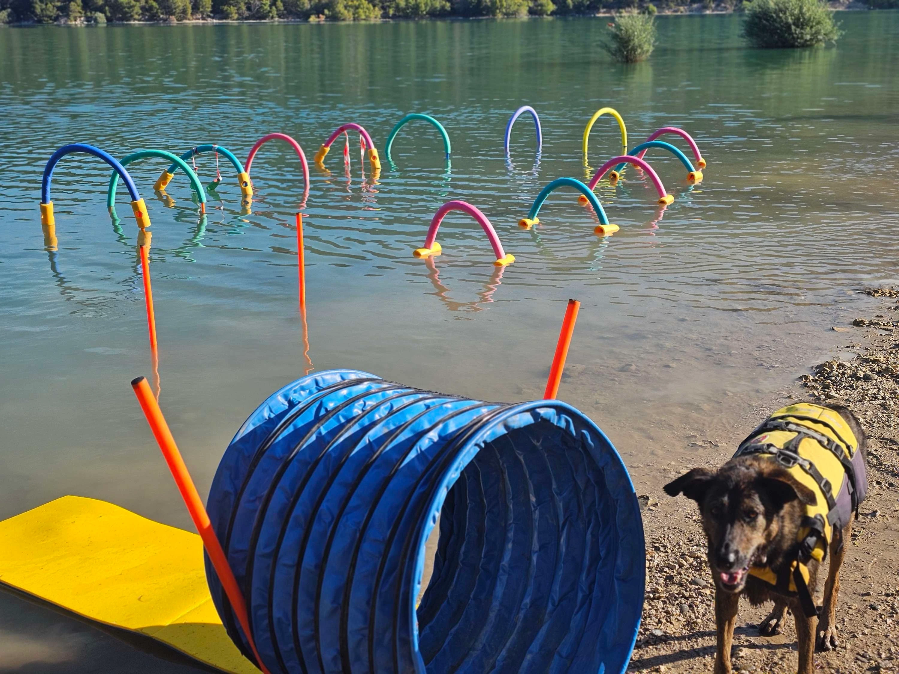 Sia by the lake with a blue 'tunnel' beside her