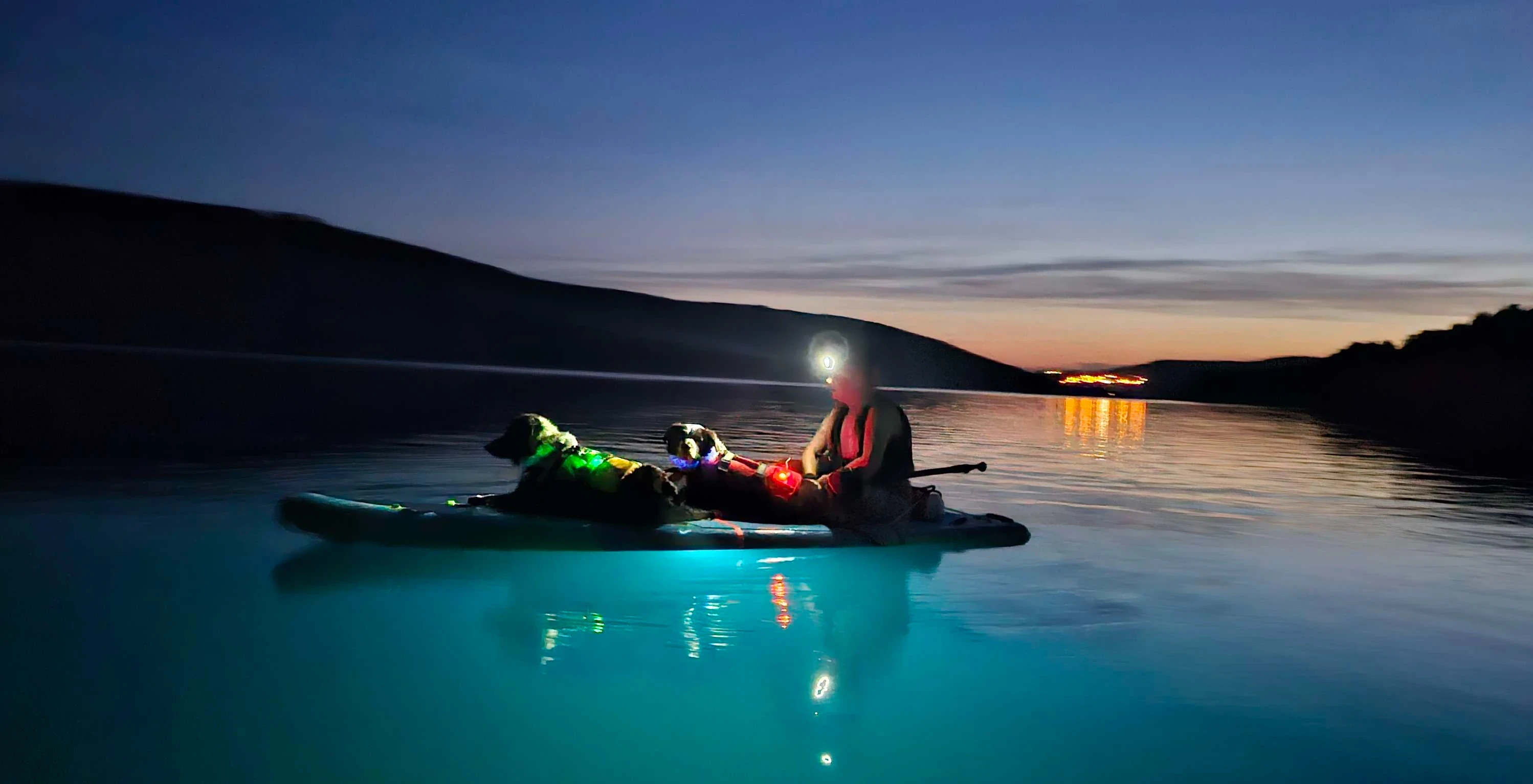 A person with two dogs on a paddle in the middle of the lake
