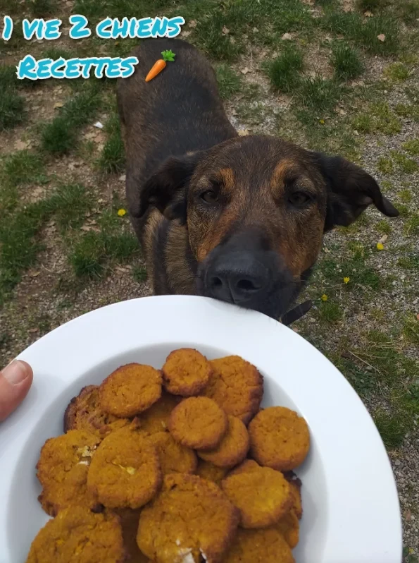 Sia in front of a plate of 'cookies'