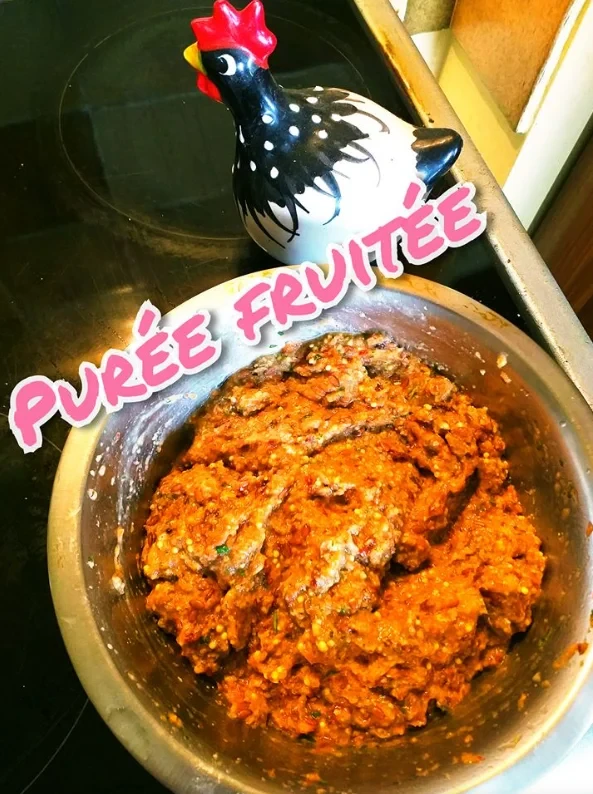 Fruity Puree for your Kongs and lickimats